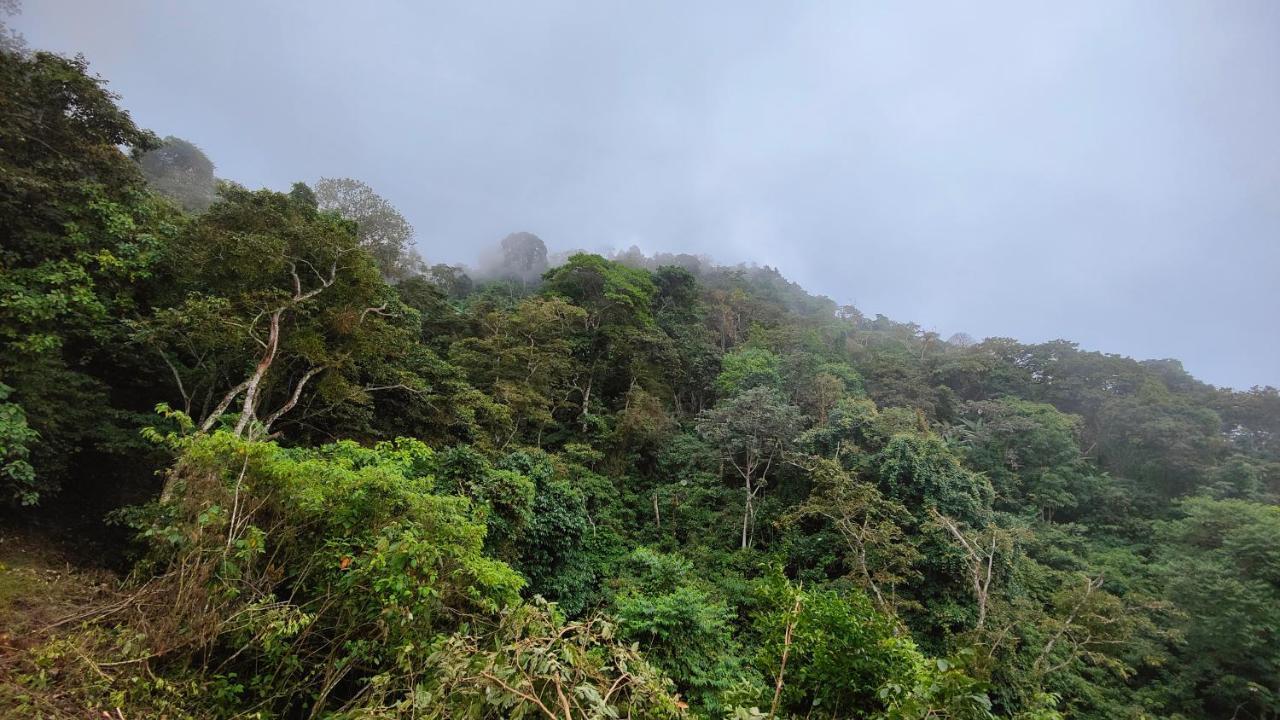 Minca Sintropia - Sustainable Lodge & Organic Coffee Finca Kültér fotó