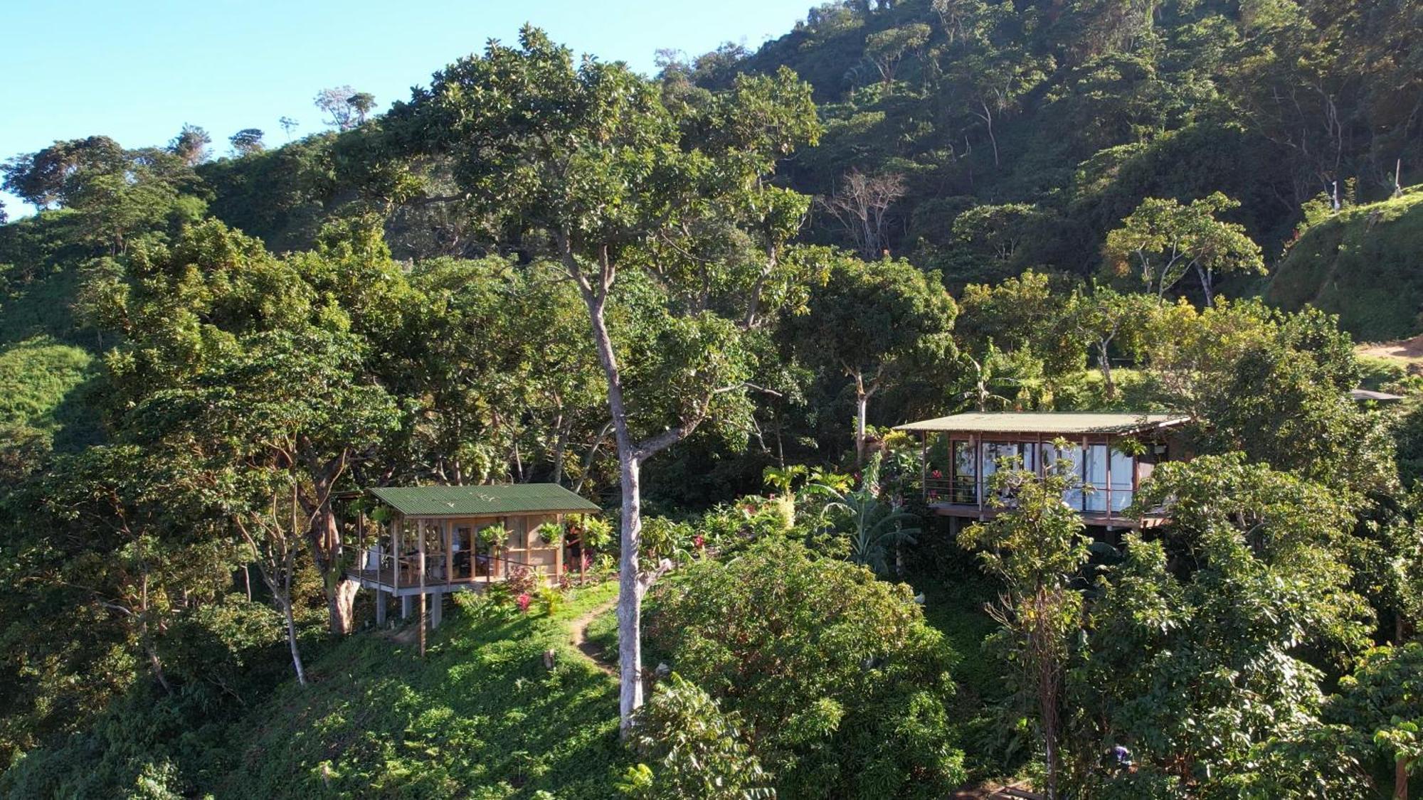 Minca Sintropia - Sustainable Lodge & Organic Coffee Finca Kültér fotó
