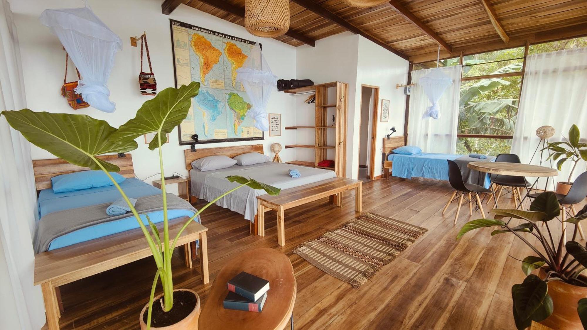 Minca Sintropia - Sustainable Lodge & Organic Coffee Finca Kültér fotó