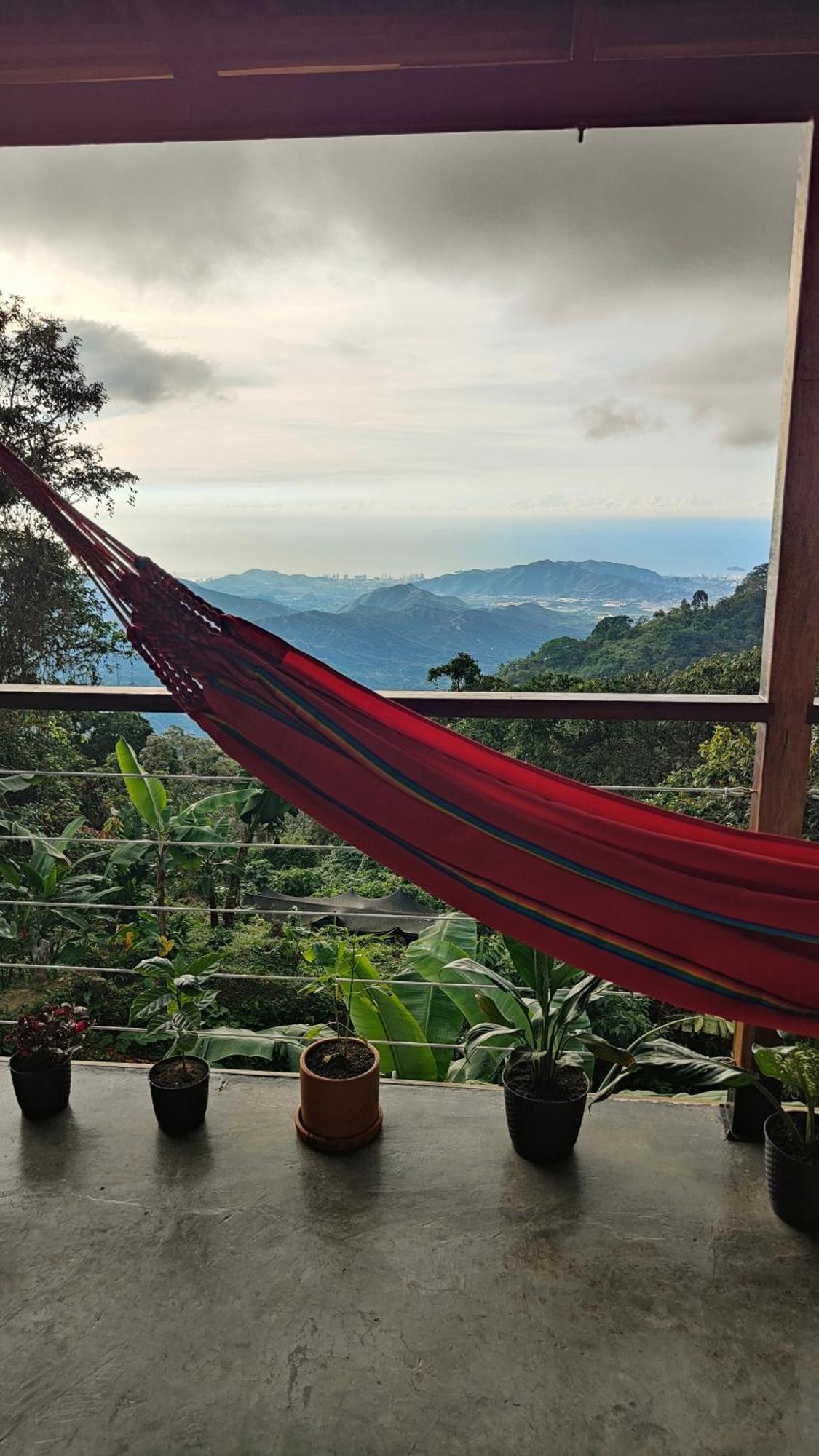 Minca Sintropia - Sustainable Lodge & Organic Coffee Finca Szoba fotó